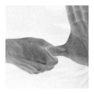 wow | London | R.Cambusano