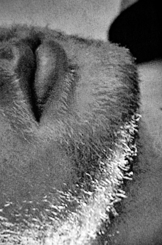 Even Closer | Curitiba | Ygor Raduy