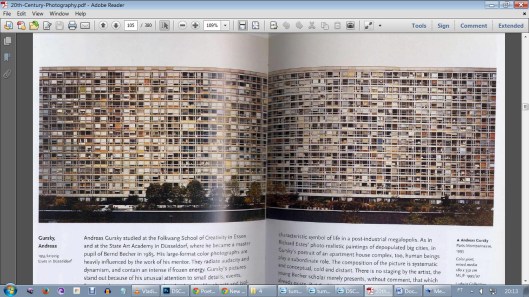 shall we printscreen? | curitiba | ygor raduy