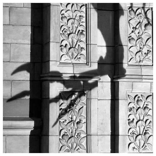 bones and bricks | London | R.Cambusano