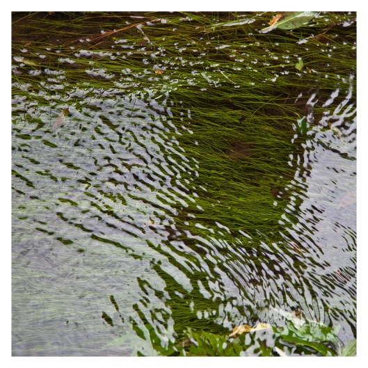 Stream is like a dream 1 | London | r.cambusano