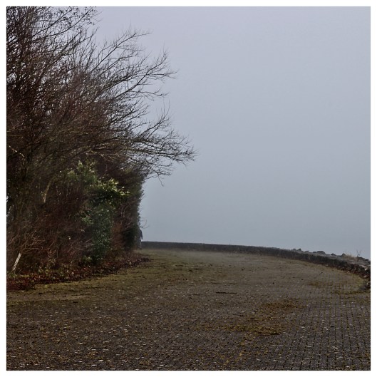 too foggy to overtake  on a blind corner | London | R.Cambusano