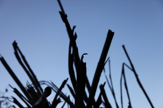 the end | London | R.cambusano