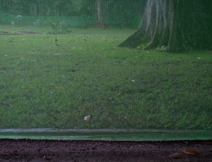 Jardins da EAV| Rio de Janeiro| Manoela Cavalinho