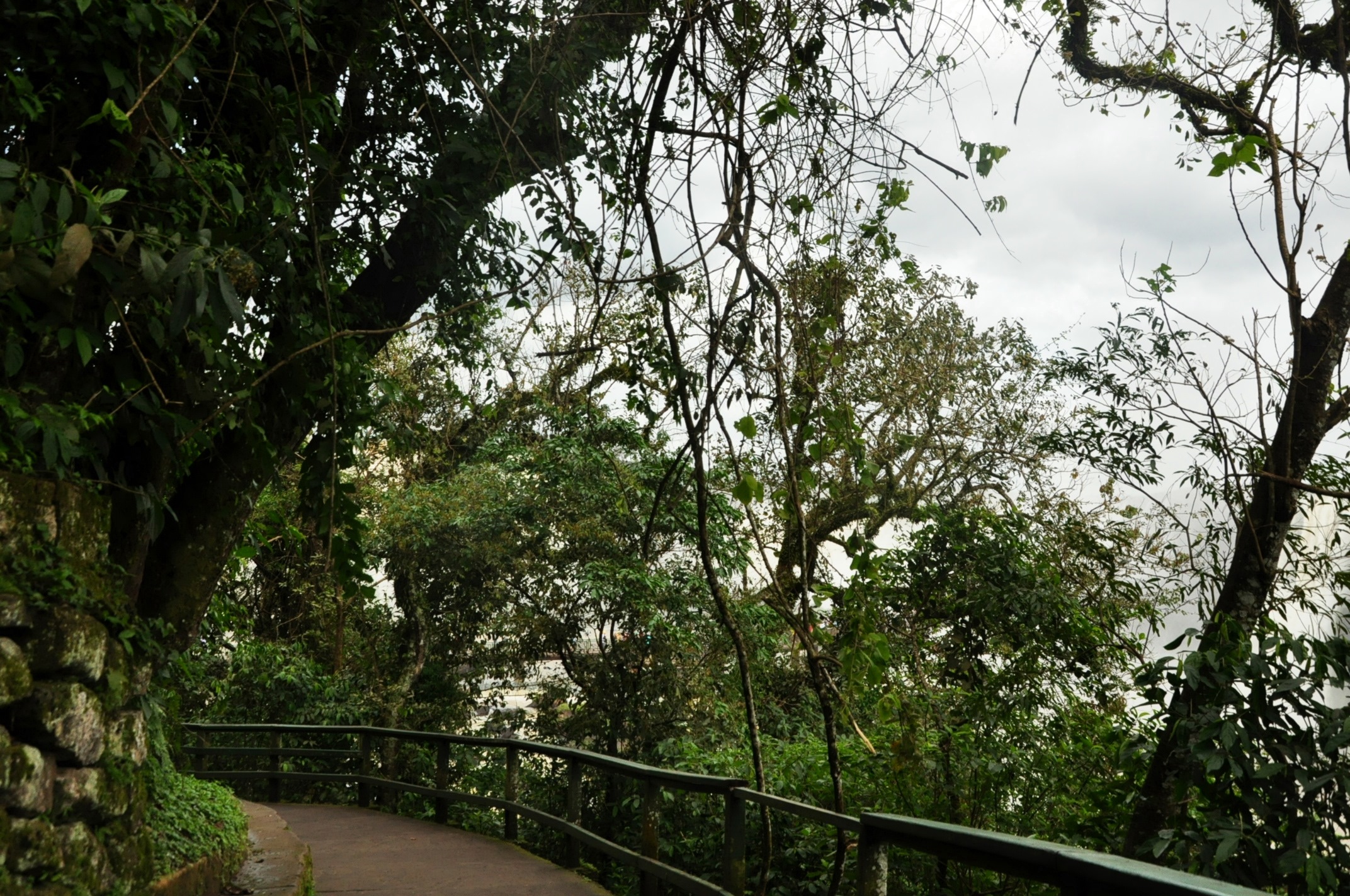 Parque nacional | Foz do Iguaçu | Gabriela Canale
