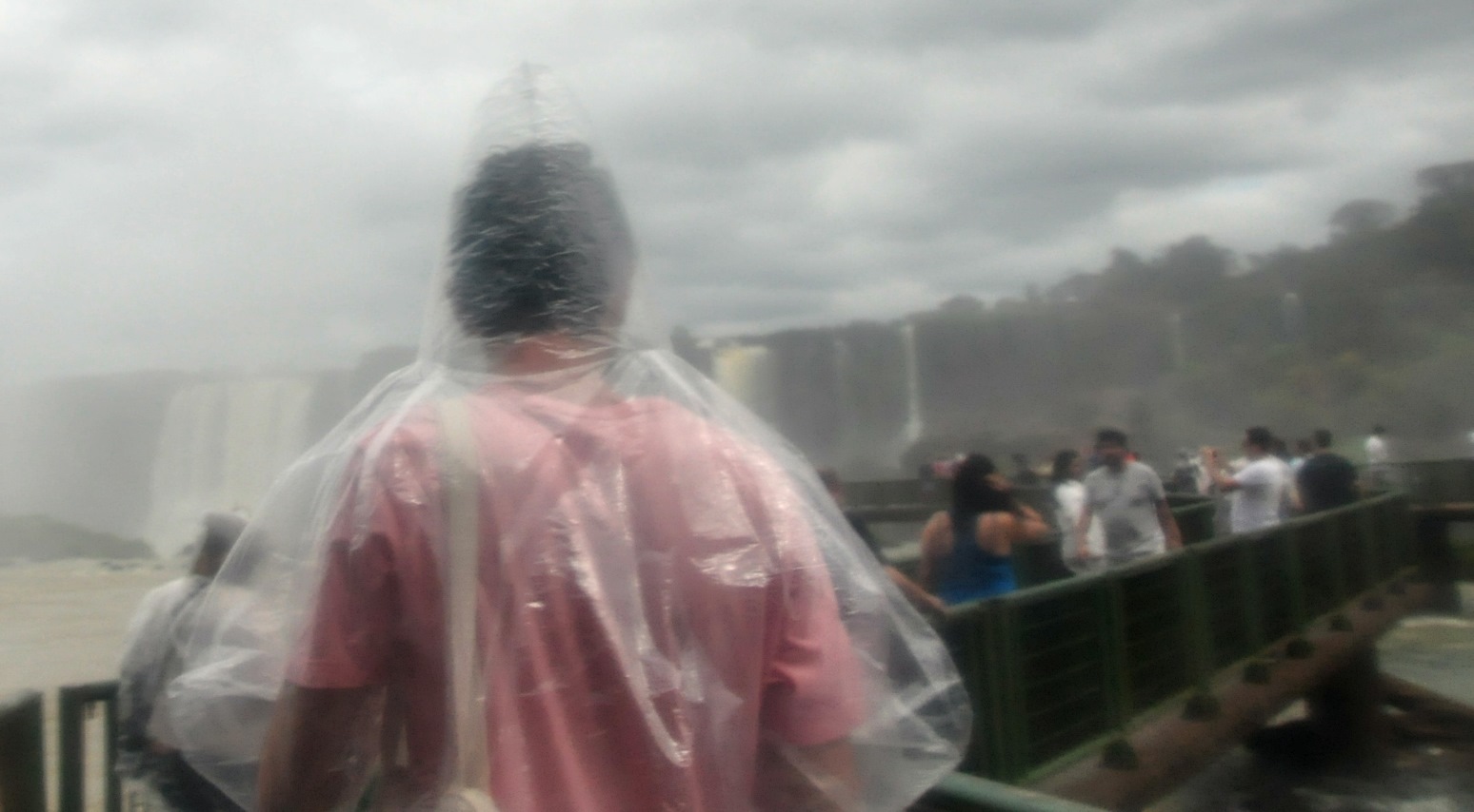 Passantes aquáticos | Foz do Iguaçu | Gabriela Canale