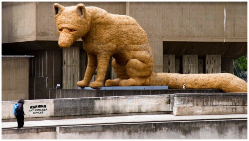 wild thing | London | R.Cambusano