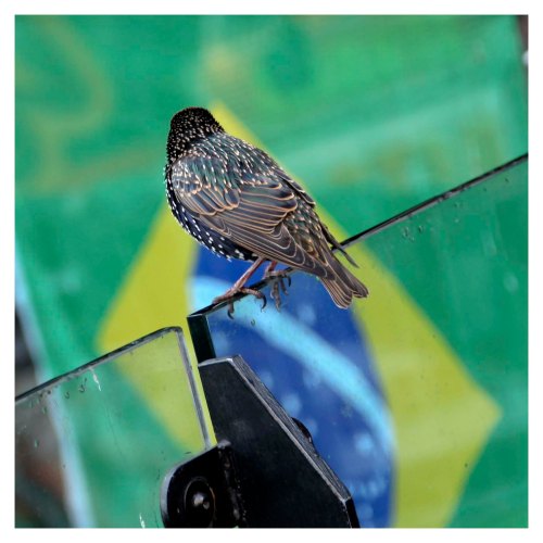 Flight 1980 Way Out | London | R.Cambusano