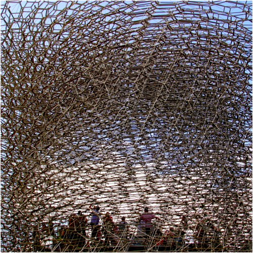 the_poem_pressed_into_song_of_confusion | London | R.Cambusano