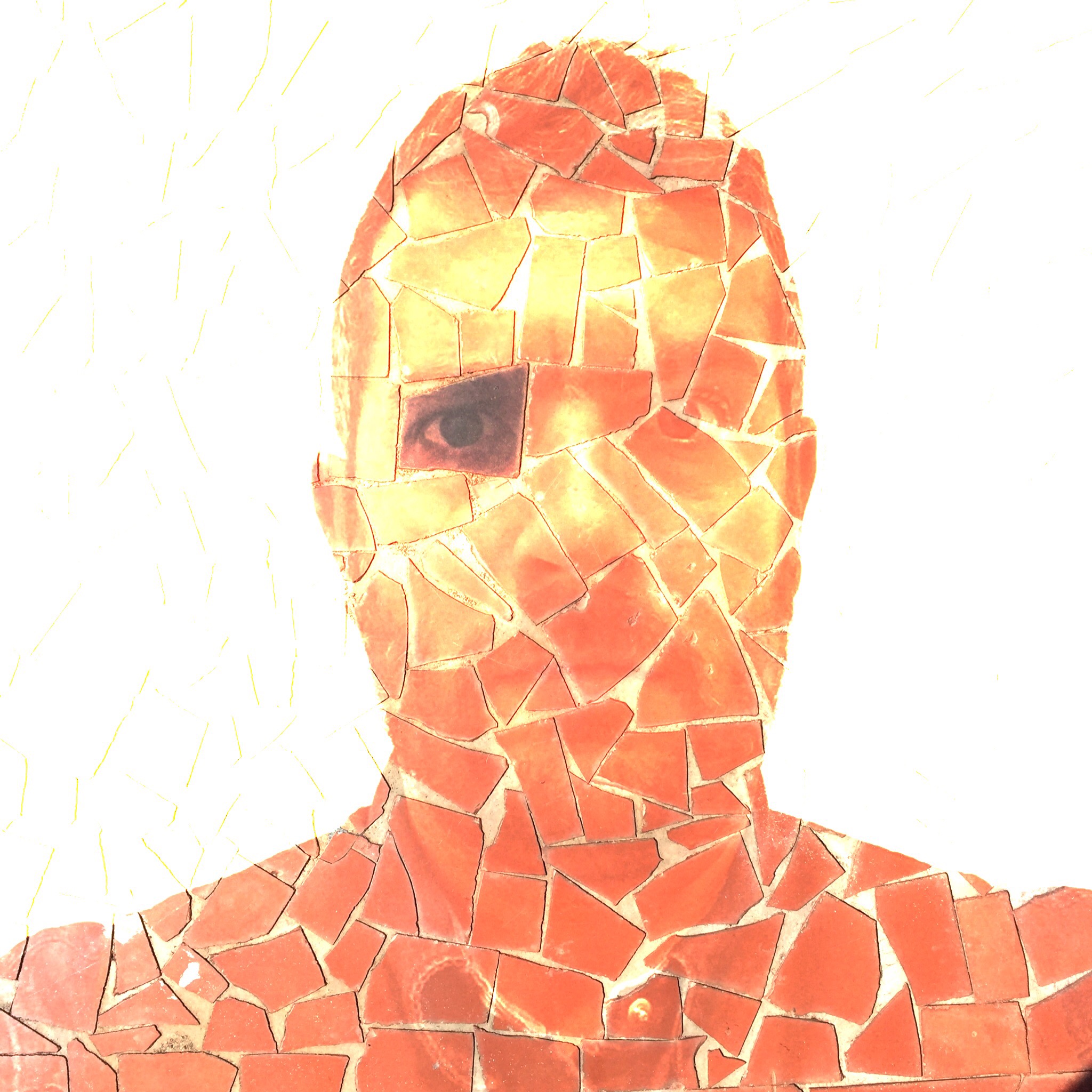 Mosaico de cacos de memória (SelfieKing) | Atibaia | Jaime Scatena