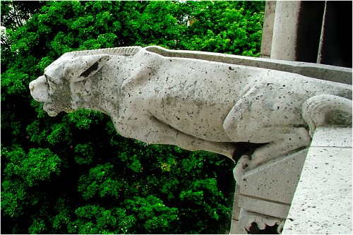 chimaera | London | R.Cambusano
