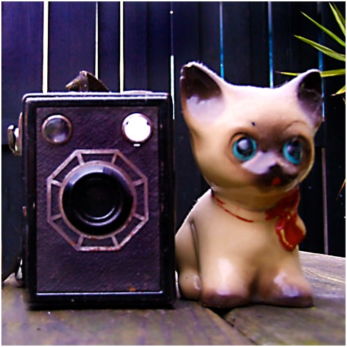 completely-silent-camera-please-help | London | R.Cambusano