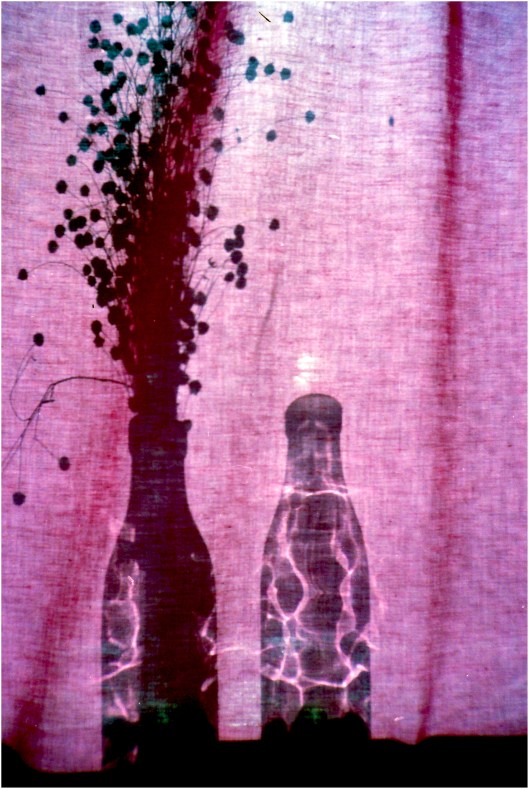 lurking-in-the-shadows | London | R.Cambusano