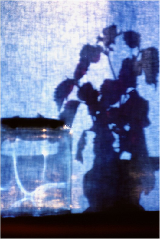 lurking-in-the-shadows2