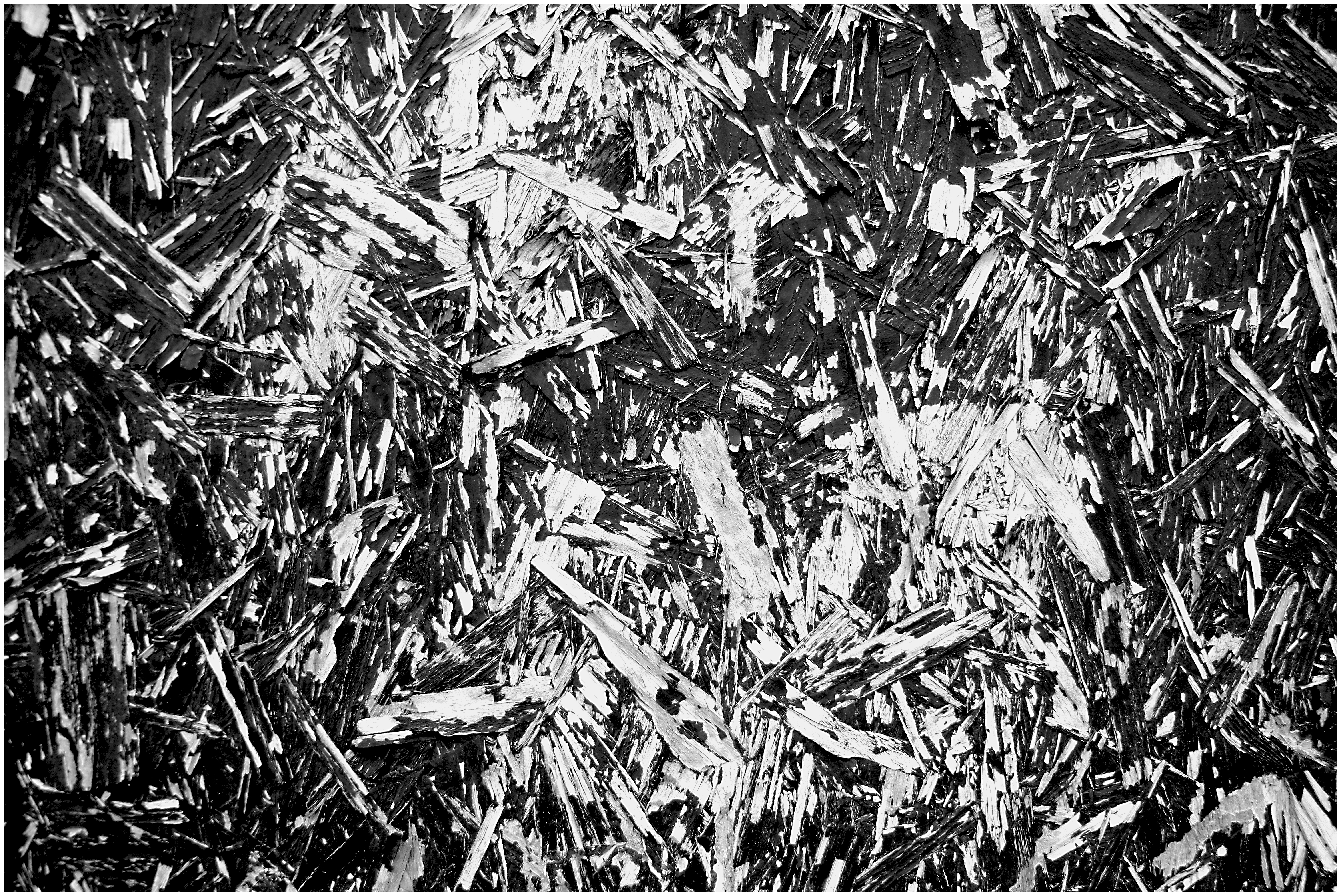 only-black-white-and-shades-of-grey | London | R.Cambusano