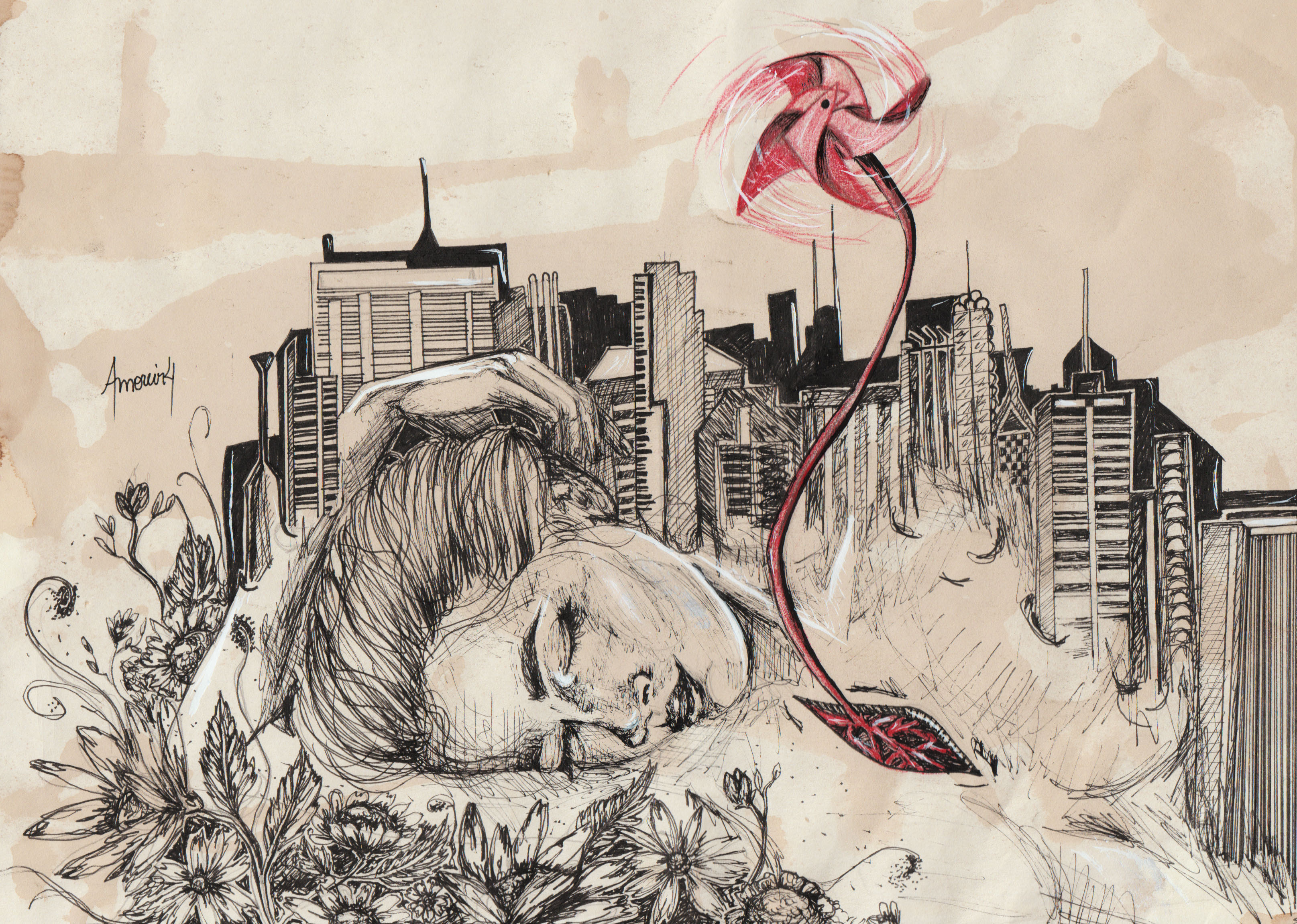 Coração e extremos de SP- jéssica