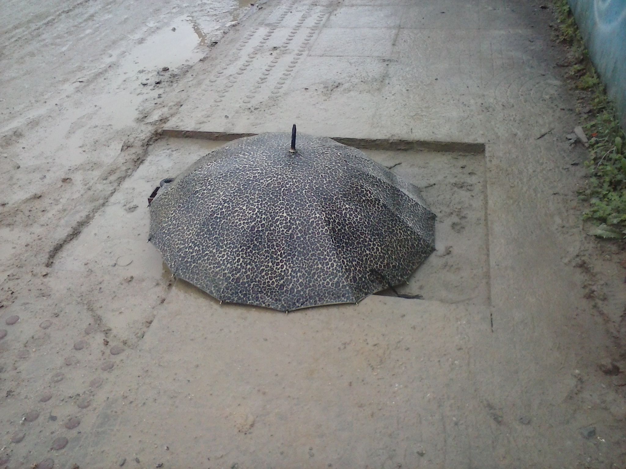 Habitar a inteligência ordinária. Priscila Costa Oliveira. Florianópolis. 2017.